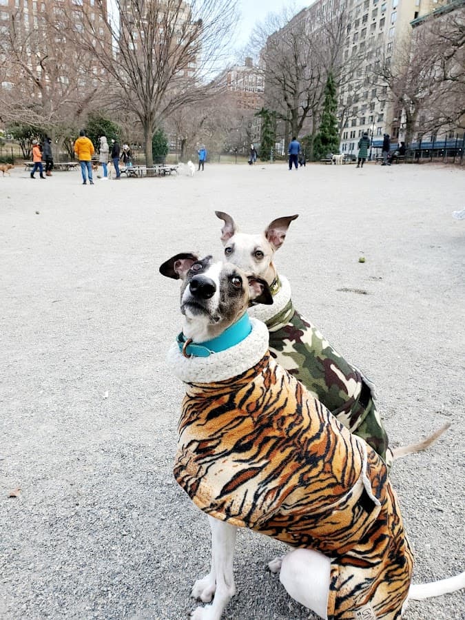 West 72nd Street Dog Run
