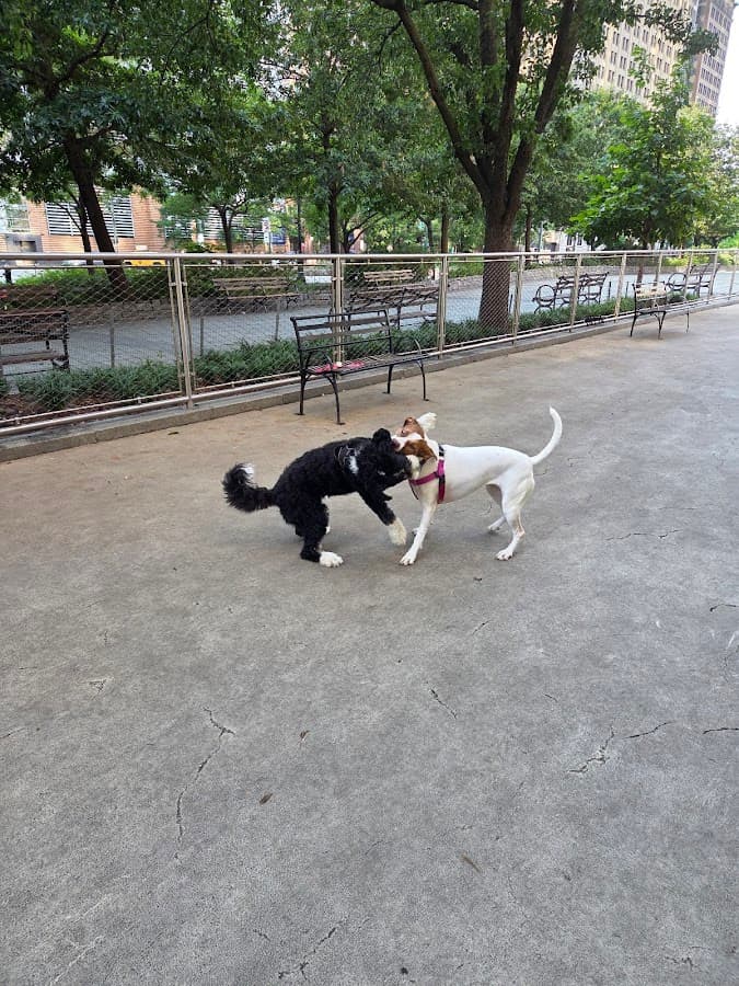 West Thames Dog Run