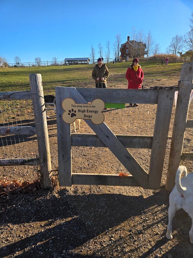 Wheeler Dog Park