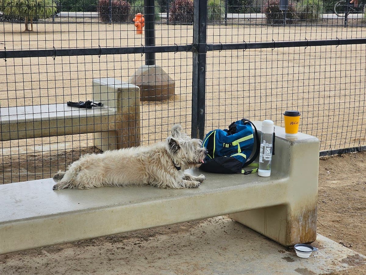 Whittier Dog Park