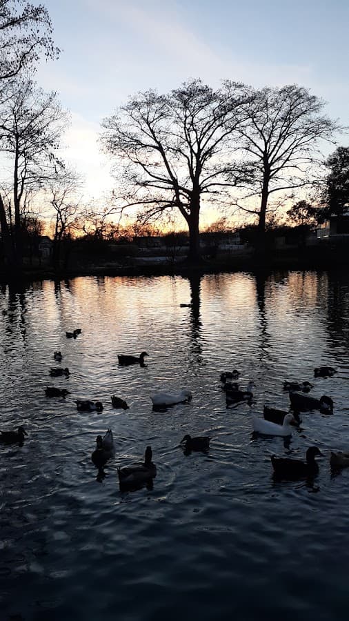 Woodlawn Lake Dog Park