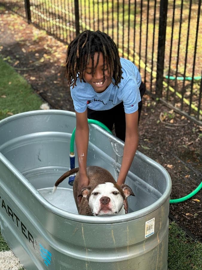 Zeno's Backyard Bark Park