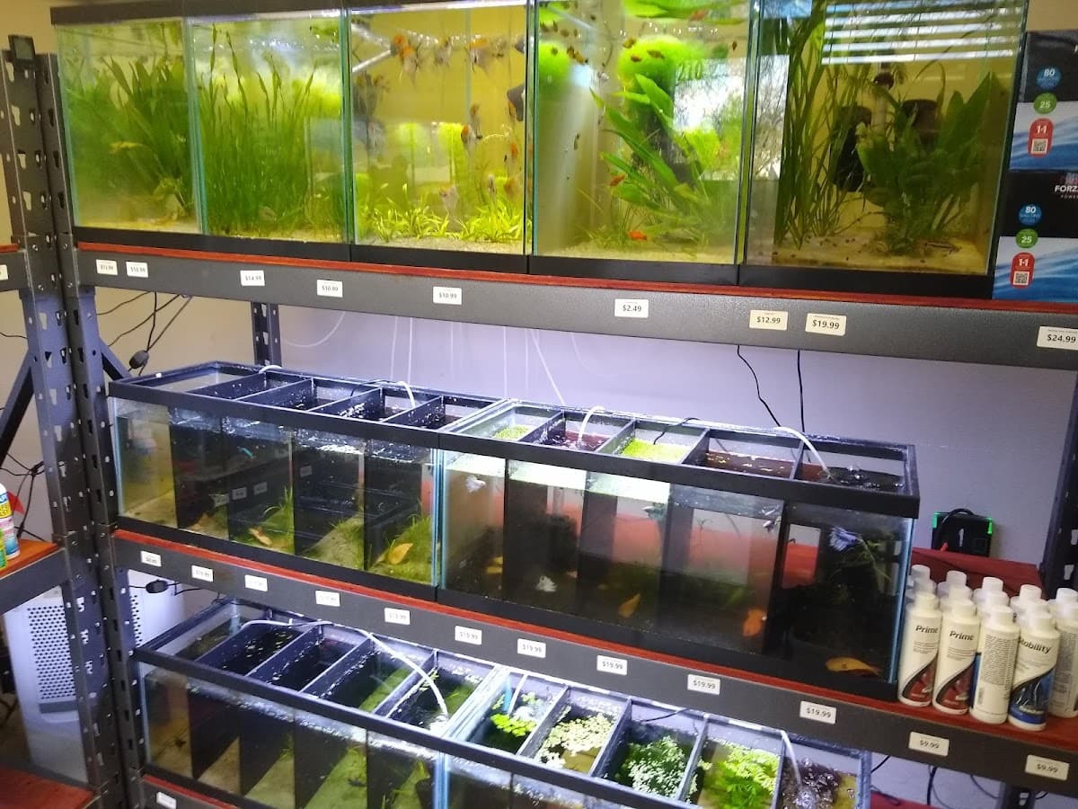 Abstract Aquariums & Cafe