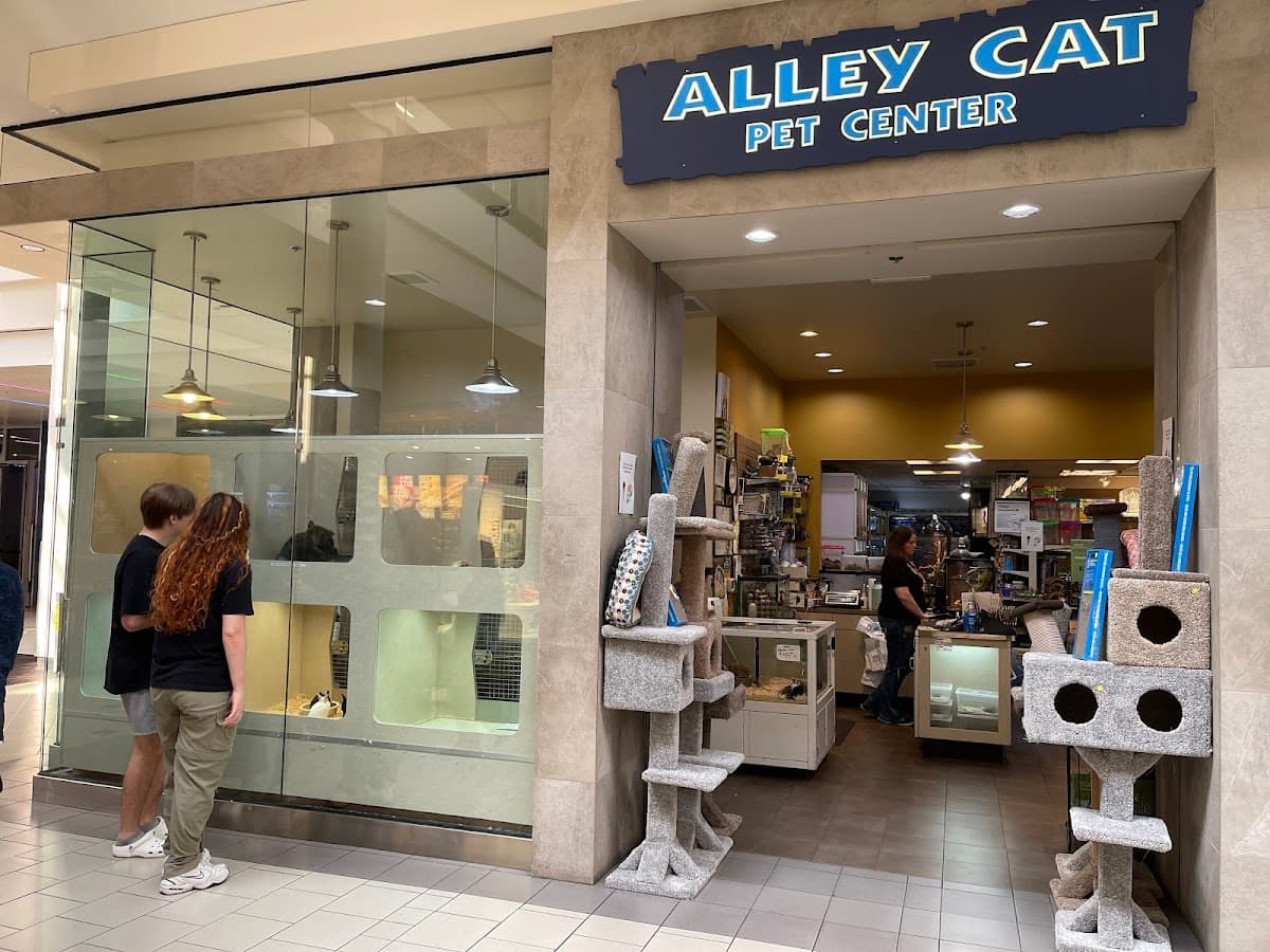 Alley Cat Pet Center