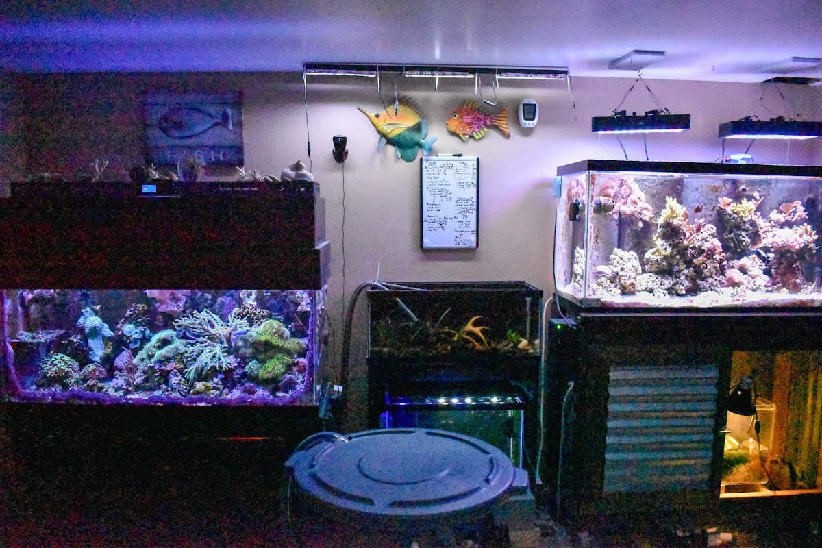 Aquatics Unlimited