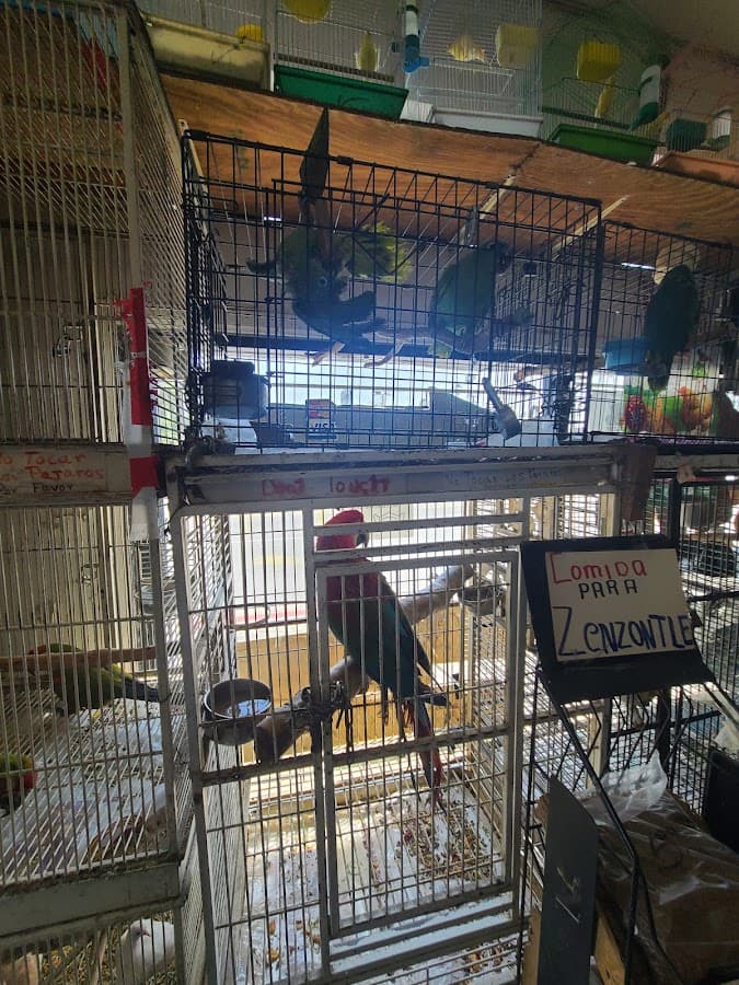 Azteca Pet Shop