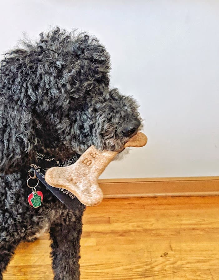 B & J's Pampered Pup Bakery
