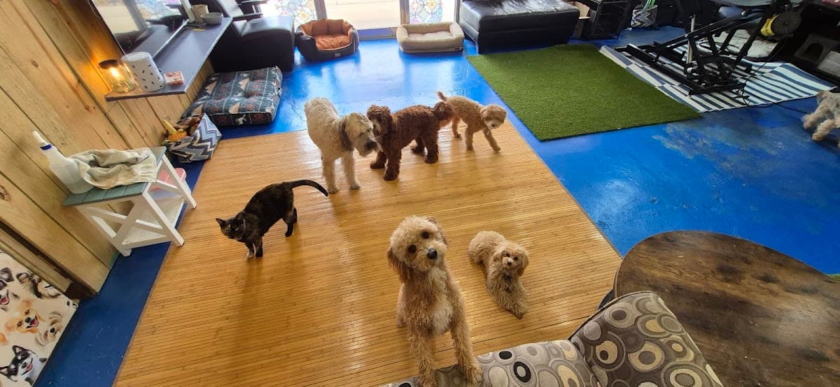 Bark at the Moon Pet Parlor