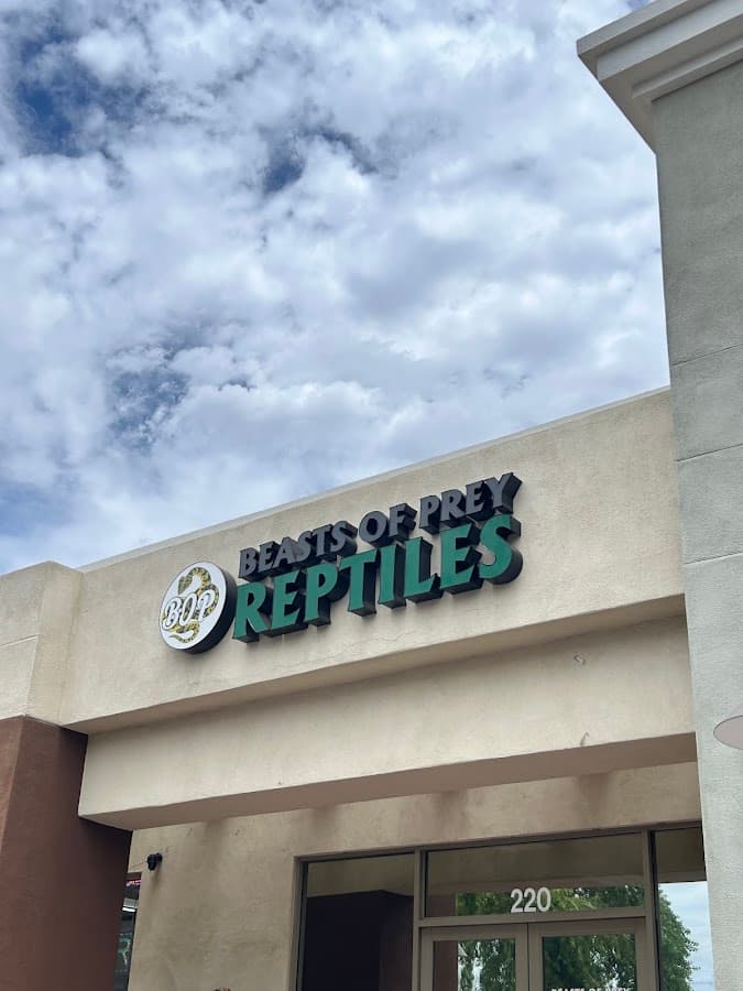 Beasts of Prey Reptiles
