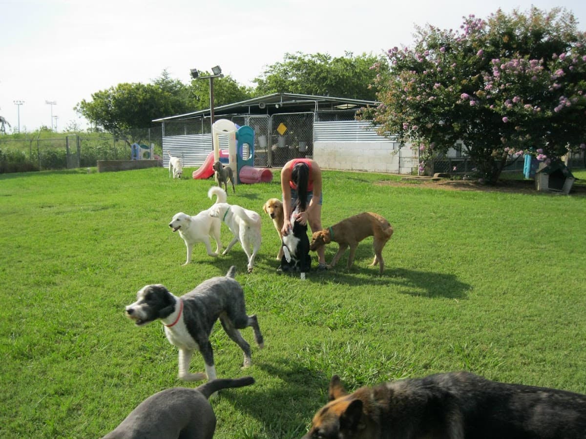 Country Acres Pet Resort