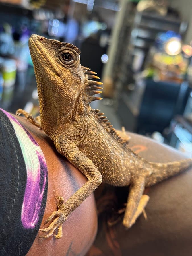 Exotic Empire Pets and Supplies