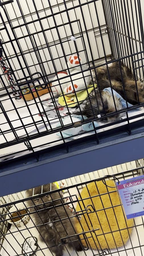 Family Pet & Aquarium-Nashua