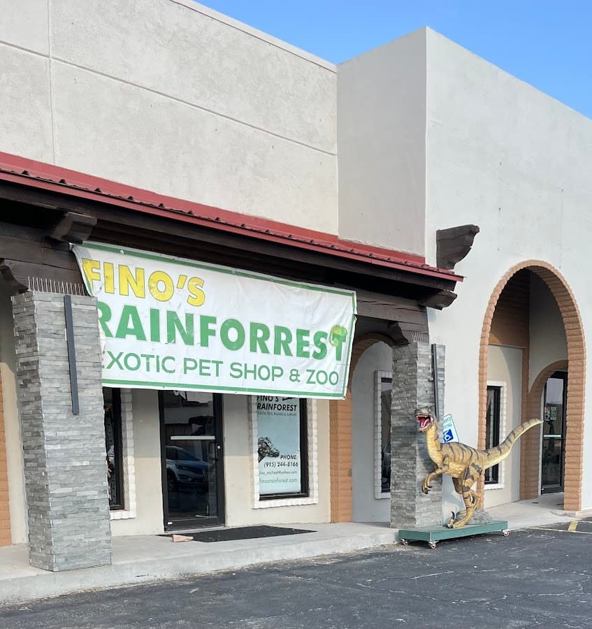 Fino's Rainforest