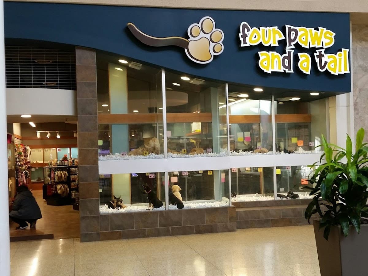 Four Paws and a Tail