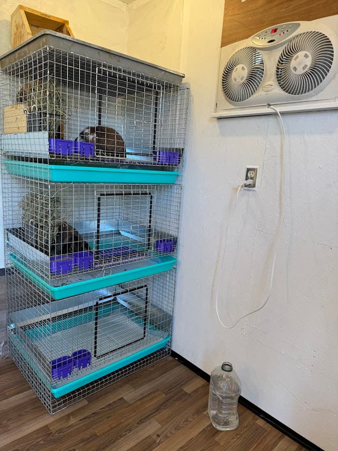 Great Northern Cage Co.