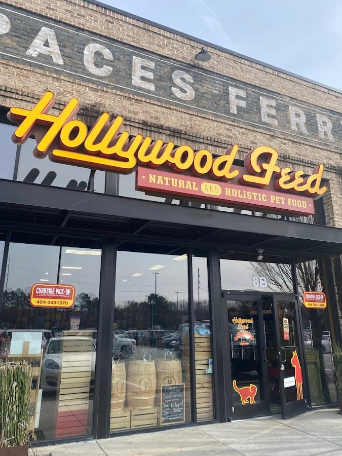 Hollywood Feed