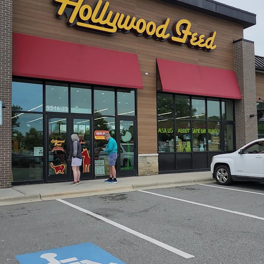 Hollywood Feed