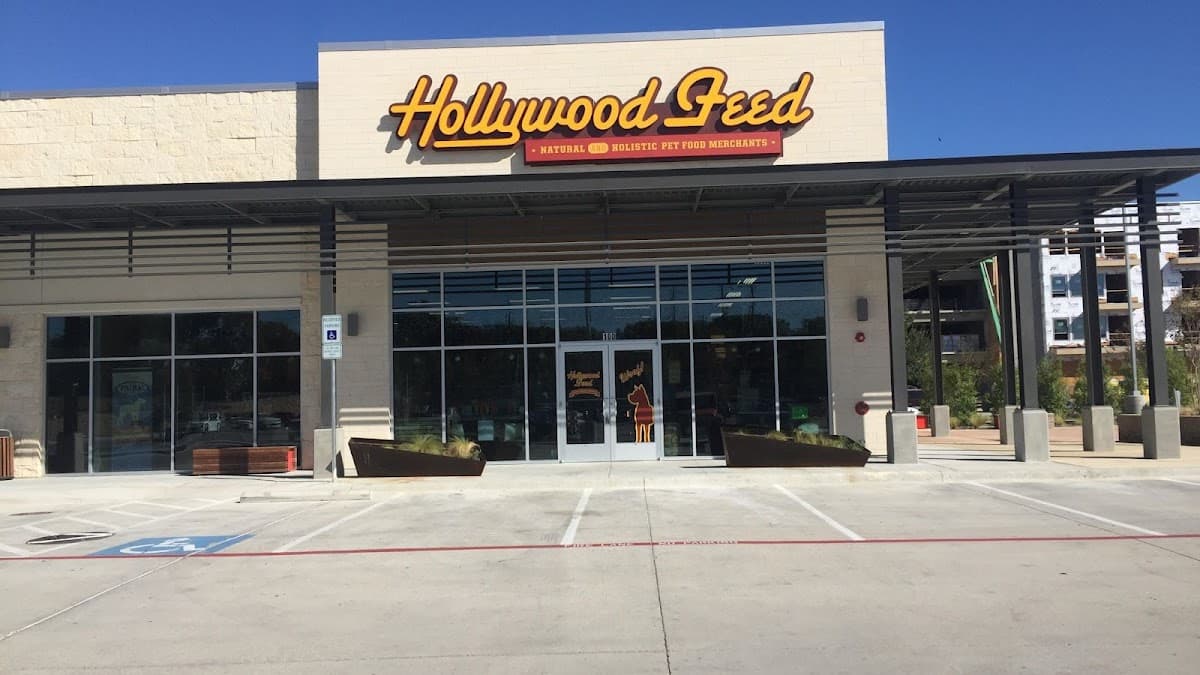 Hollywood Feed