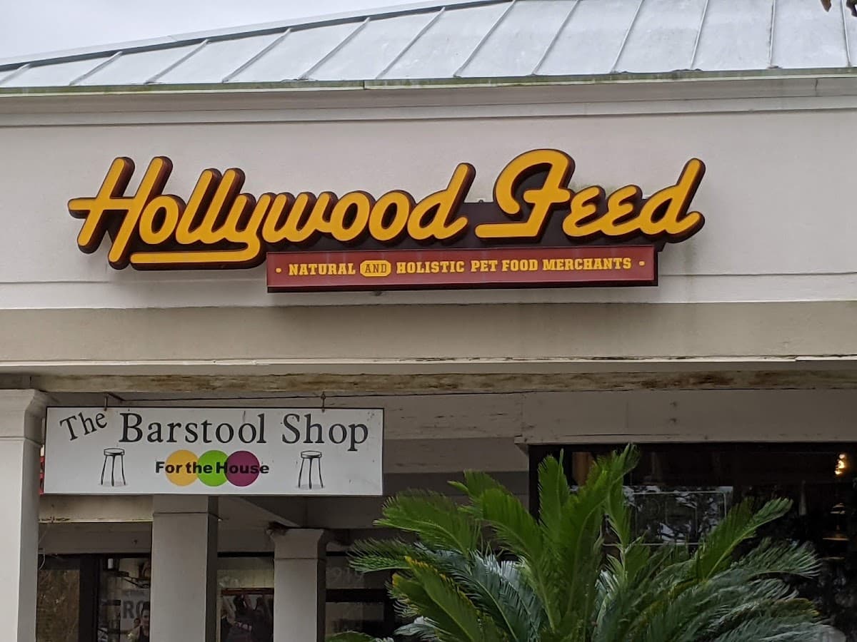 Hollywood Feed