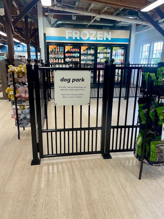 Just Food For Dogs