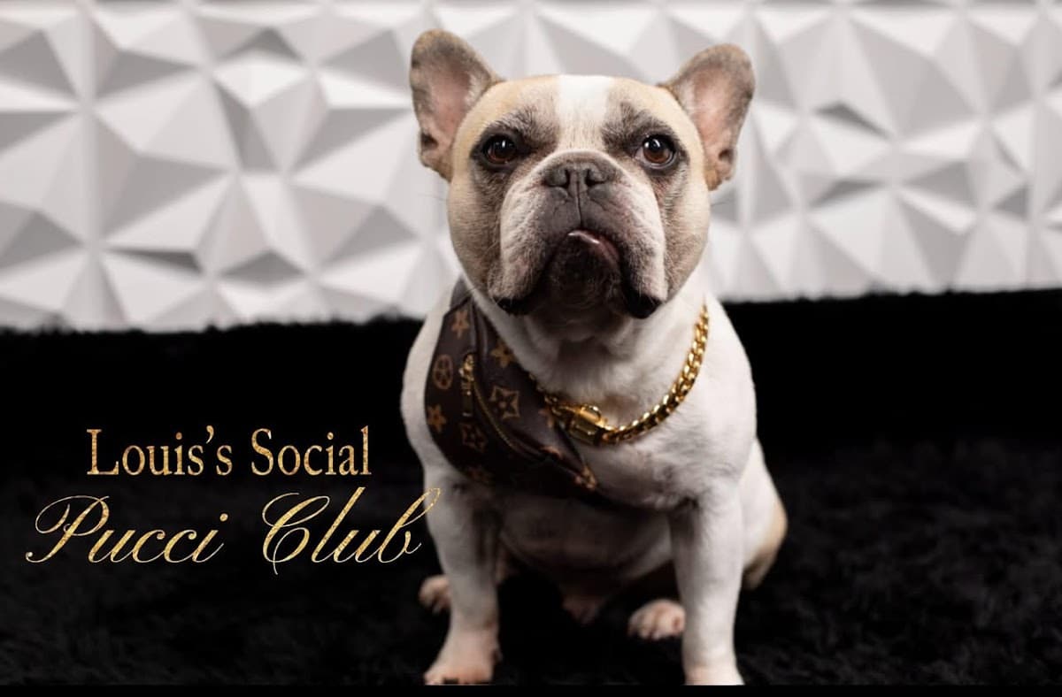 Louis’s Social Pucci Club