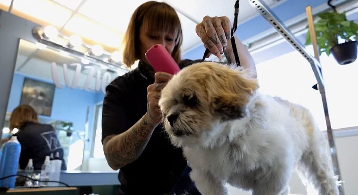 MON CHÉRI Pet Salon & Boutique