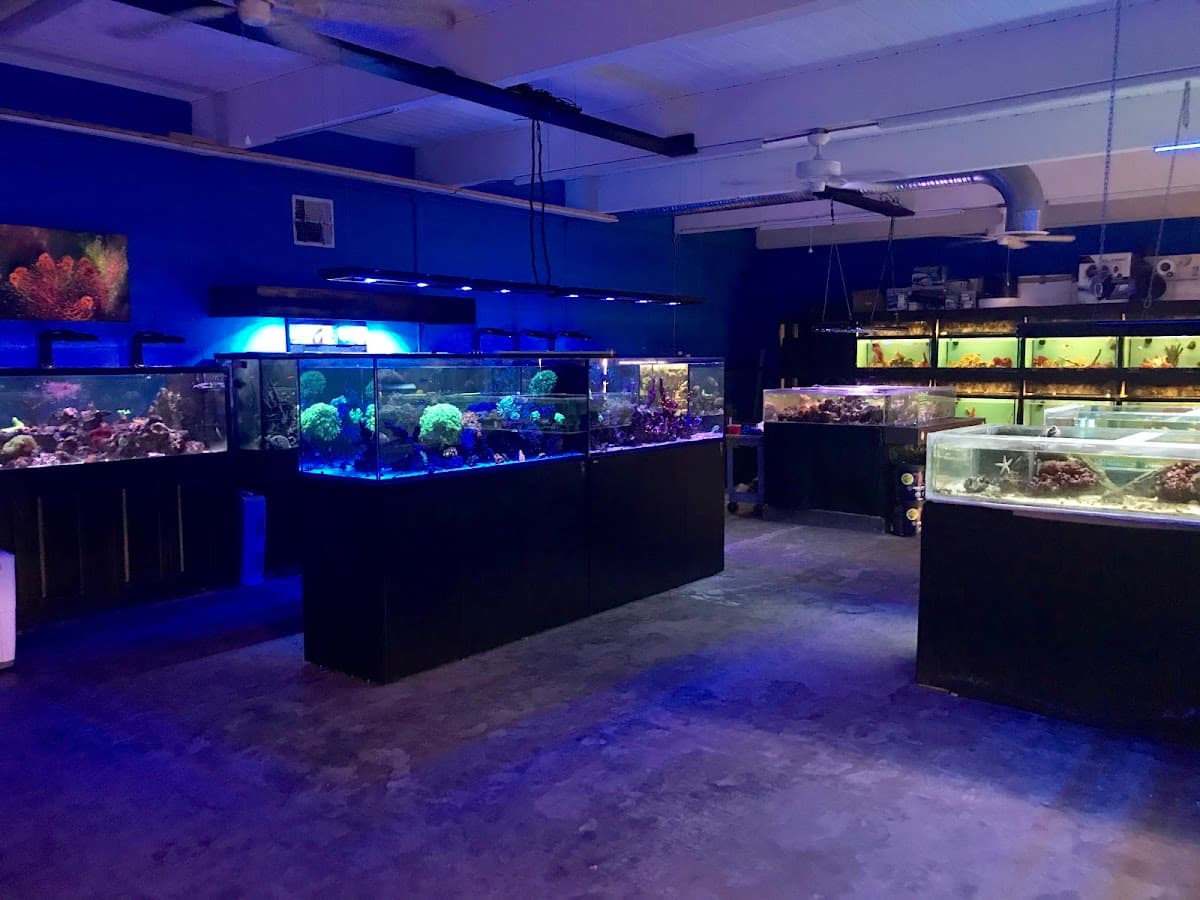 Palmetto Reef
