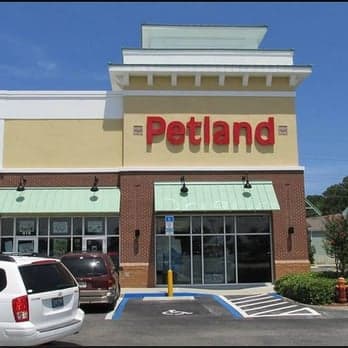 Petland Jacksonville