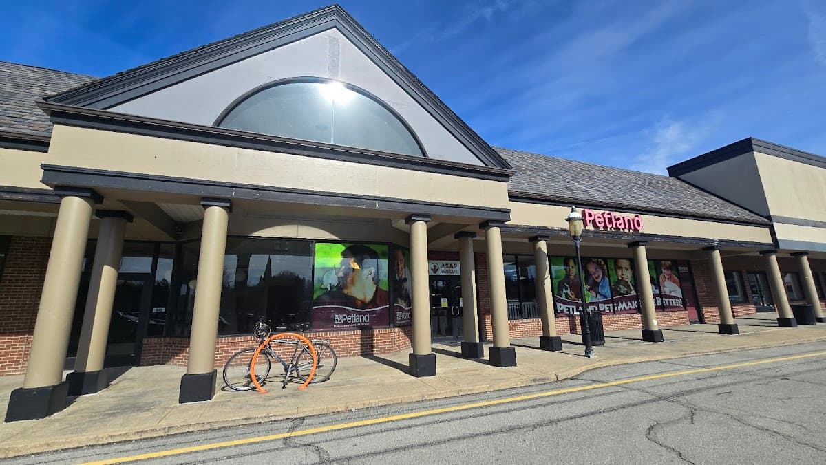 Petland Village of Eastside
