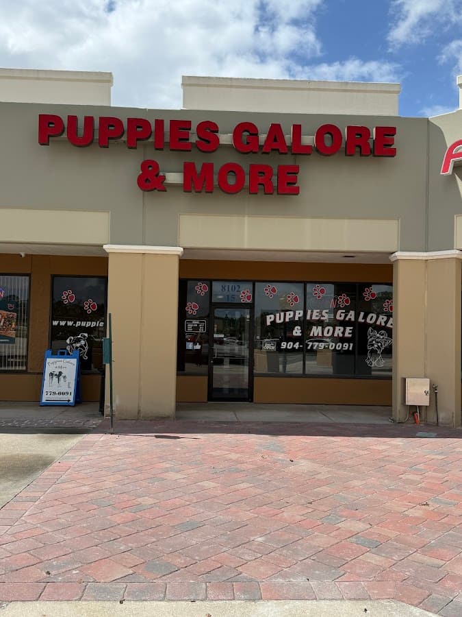 Puppies Galore & More