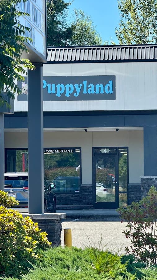 Puppy Dreams Puyallup