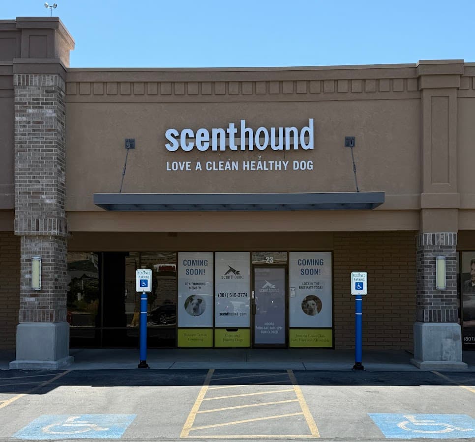Scenthound Provo University