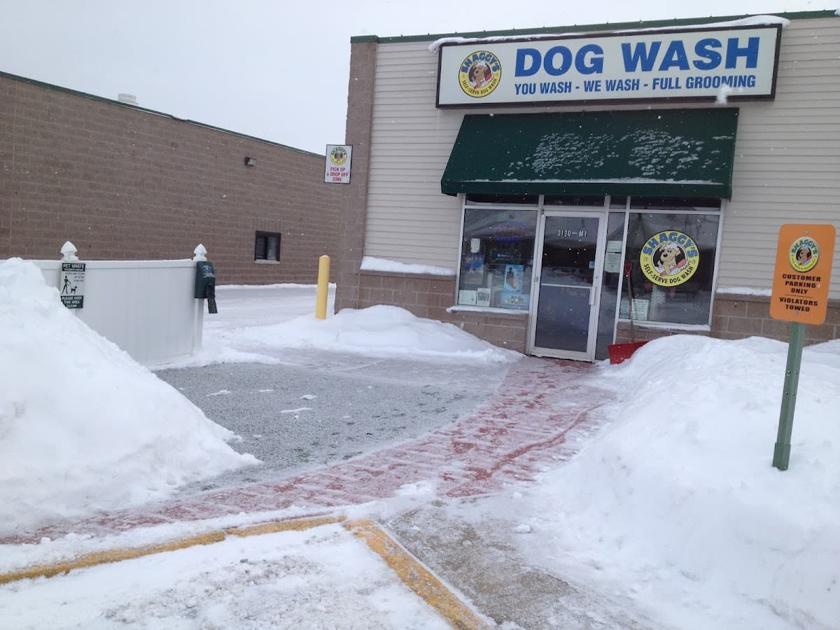 Shaggy's Dog Wash & Grooming