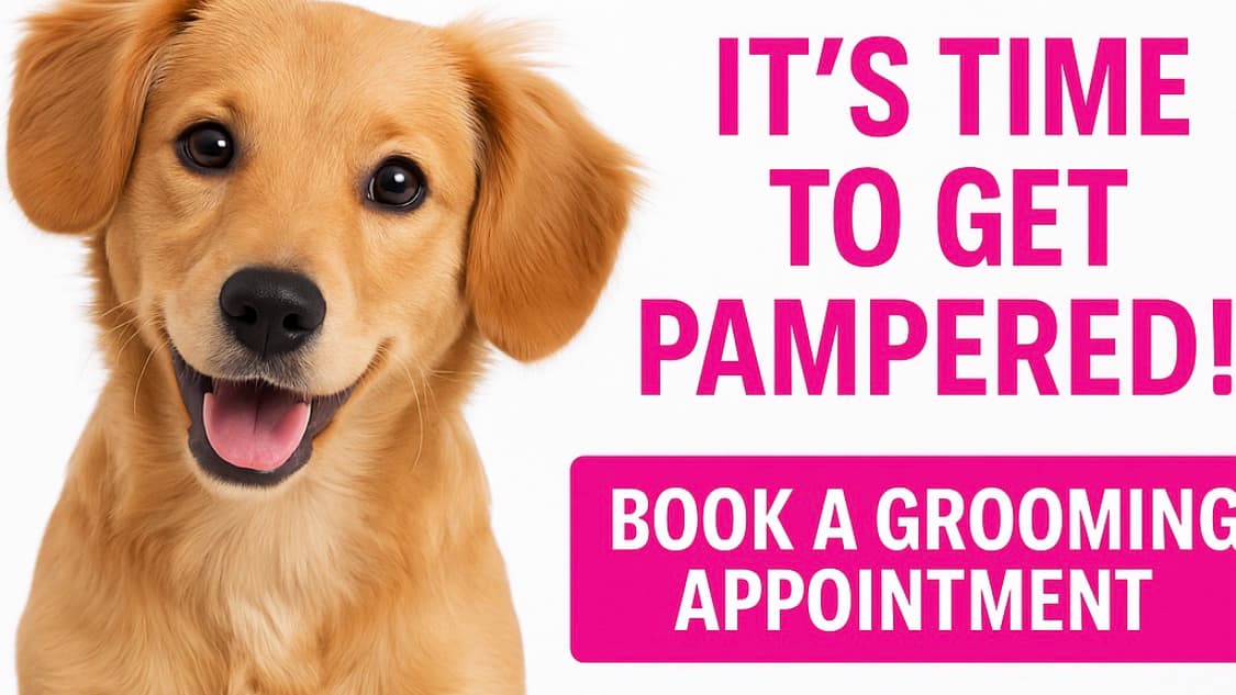 Spoiled Petz Grooming Salons