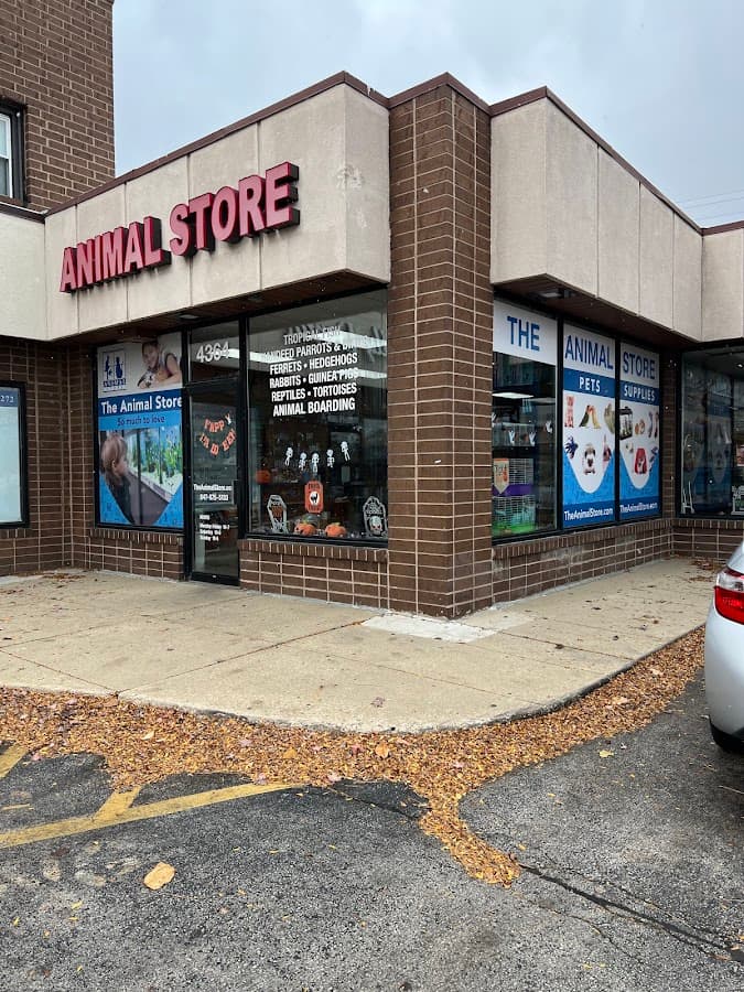 The Animal Store