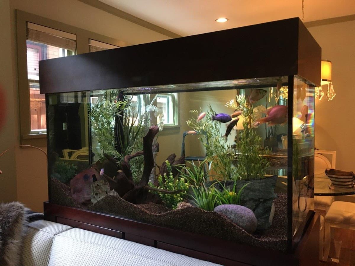 Tidy Waves Aquarium Service