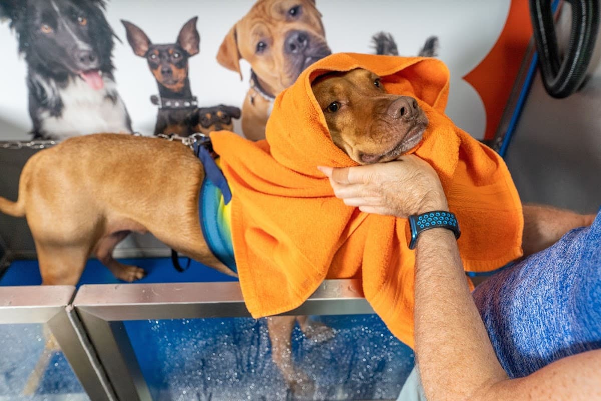 Wagpride Dog Grooming and Pet Store