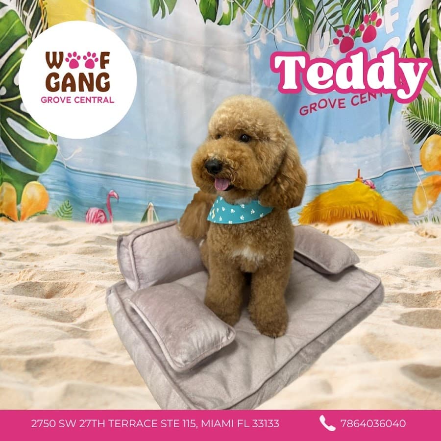 Woof Gang Bakery & Grooming Grove Central