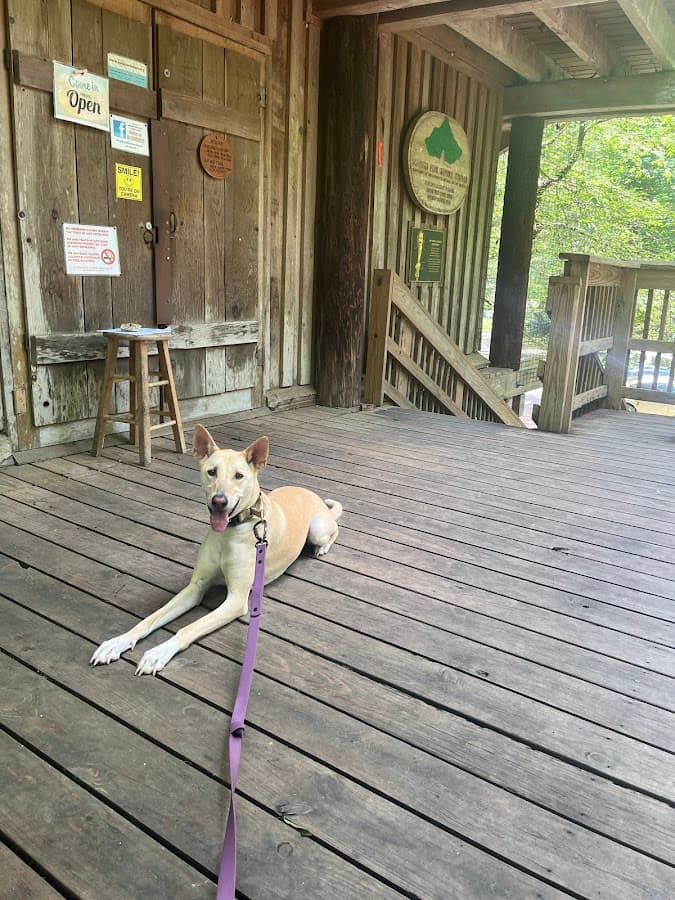 Acadiana Park Nature Station Dock