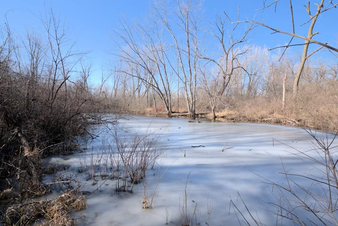 Arlene Shoemaker Flatwoods Nature Preserve