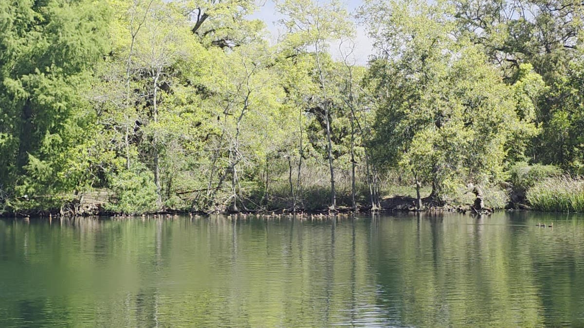 Audubon Park Loop