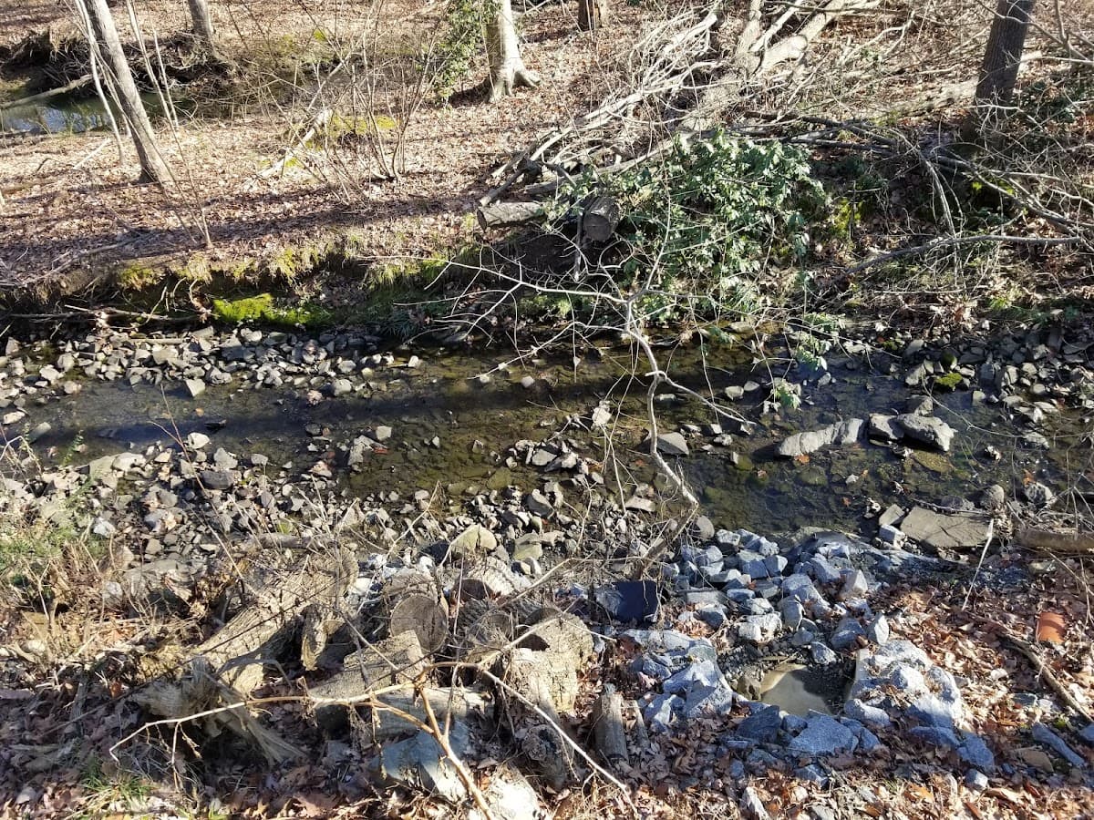 Barton Creek Greenway