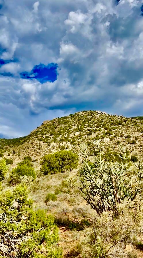Bear Canyon Trailhead