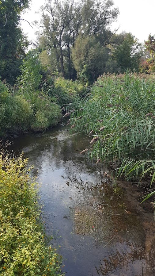 Bear Trap Creek Bikeway