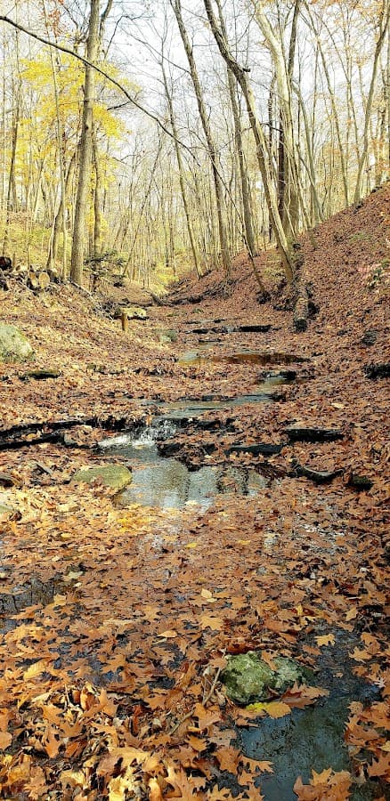 Beechwold Park