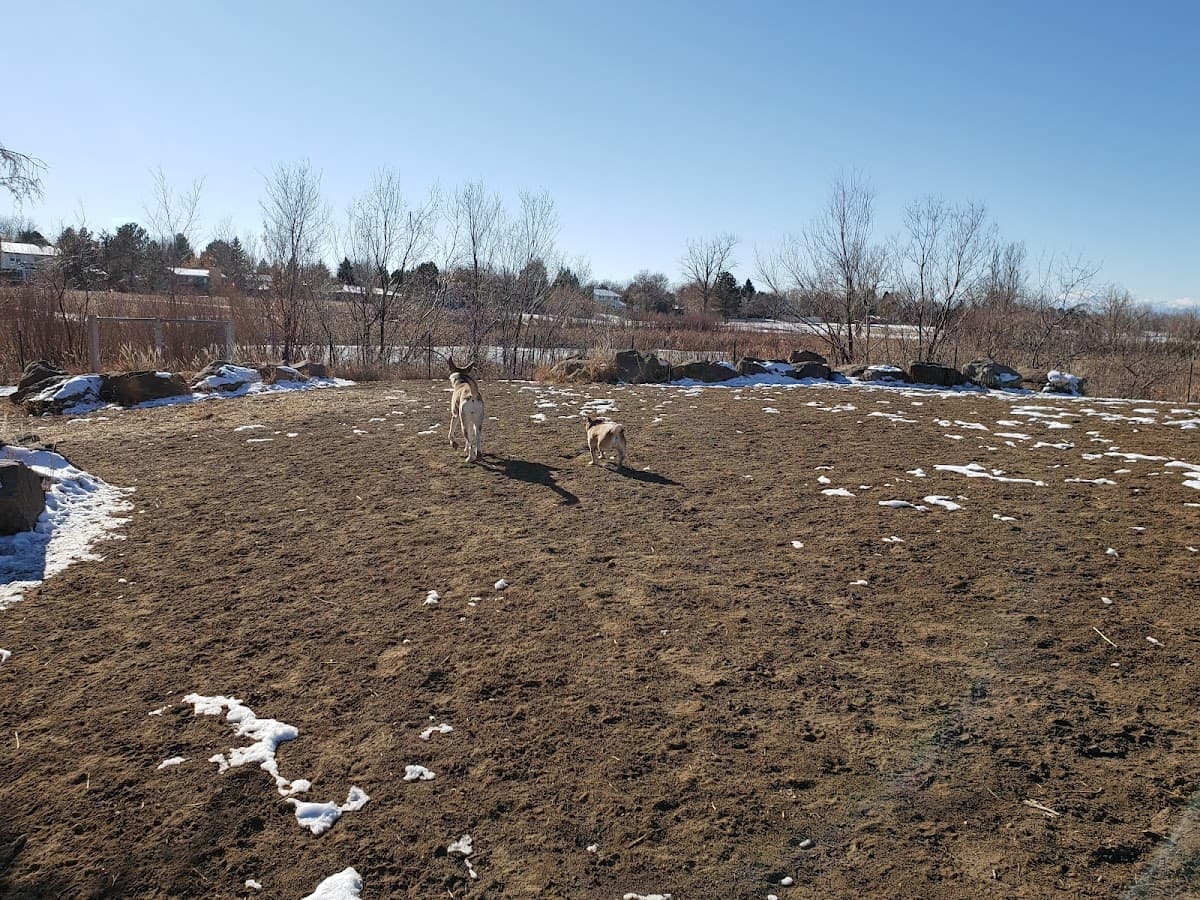 Bicentennial Park Off-Leash Dog Area