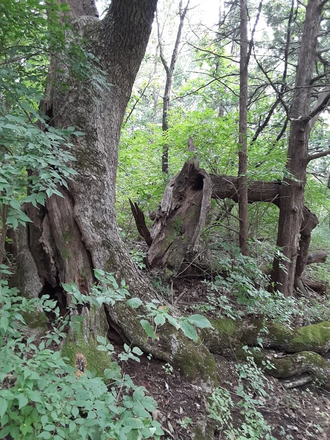 Blue River Parkway Trails - Badger Trail Head