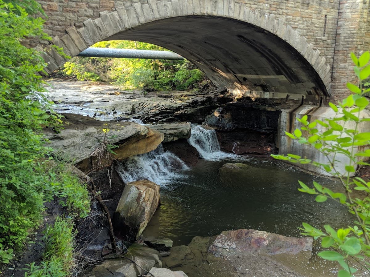 Brecksville Reservation