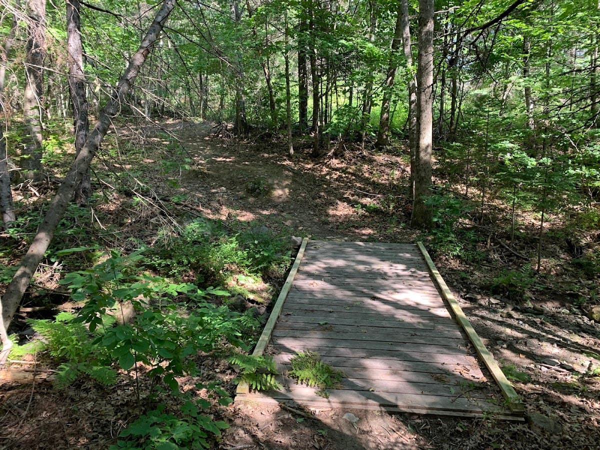 Buck Hill Conservation Area