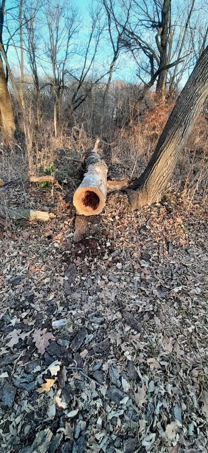 Camp Logan, Fontenelle Forest